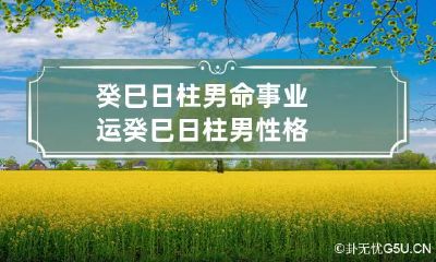 癸巳日柱男命事业运 癸巳日柱男性格