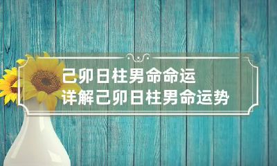 己卯日柱男命命运详解 己卯日柱男命运势好不好