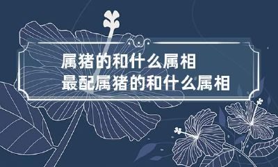 属猪的和什么属相最配 属猪的和什么属相最配,相克鸡相冲