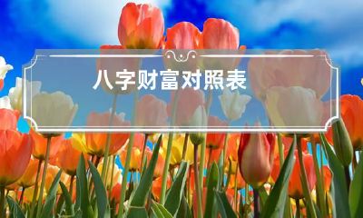 八字财富对照表