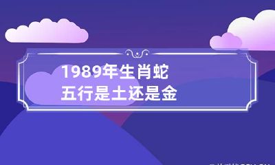 1989年生肖蛇五行是土还是金