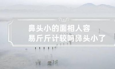 鼻头小的面相人容易斤斤计较吗 鼻头小了鼻子会看着小吗