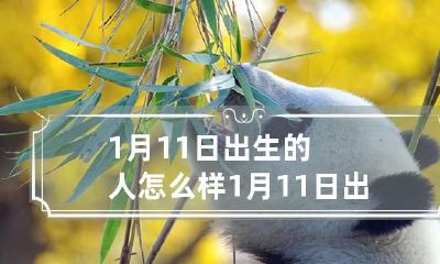 1月11日出生的人怎么样 1月11日出生好不好