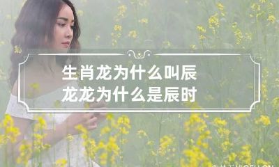 生肖龙为什么叫辰龙 龙为什么是辰时
