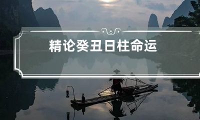 精论癸丑日柱命运