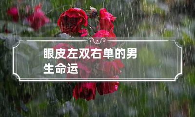 眼皮左双右单的男生命运