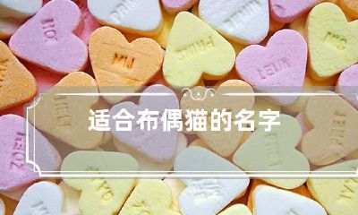 适合布偶猫的名字