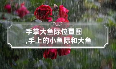 手掌大鱼际位置图,手上的小鱼际和大鱼际,各是指什么位置
