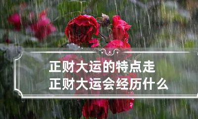 正财大运的特点 走正财大运会经历什么