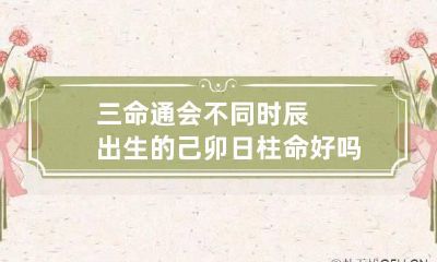 三命通会 不同时辰出生的己卯日柱命好吗