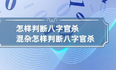 怎样判断八字官杀混杂 怎样判断八字官杀混杂官杀在日时柱什么意思