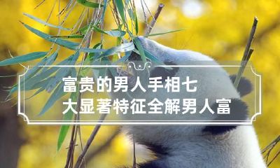 富贵的男人手相七大显著特征全解 男人富贵手相的象征