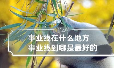 事业线在什么地方 事业线到哪是最好的