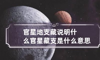 官星地支藏说明什么 官星藏支是什么意思啊?