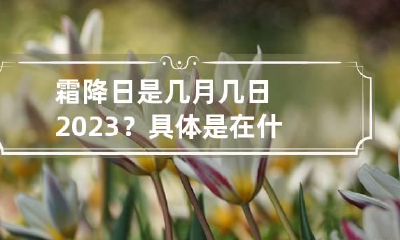 霜降日是几月几日2023？具体是在什么时间？
