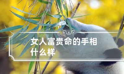 女人富贵命的手相什么样