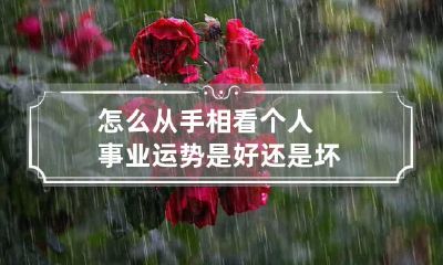 怎么从手相看个人事业运势是好还是坏