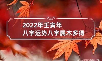 2022年壬寅年八字运势 八字属木多得贵人相助