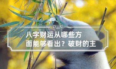 八字财运从哪些方面能够看出？破财的主要因素是什么？