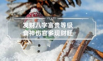 发财八字富贵等级 食神伤官多现财旺