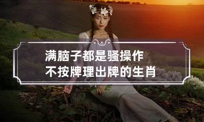 满脑子都是骚操作不按牌理出牌的生肖