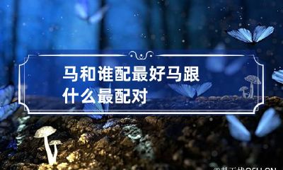 马和谁配最好 马跟什么最配对