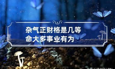 杂气正财格是几等命 大多事业有为