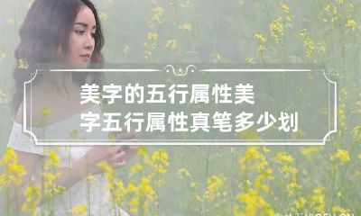 美字的五行属性 美字五行属性真笔多少划