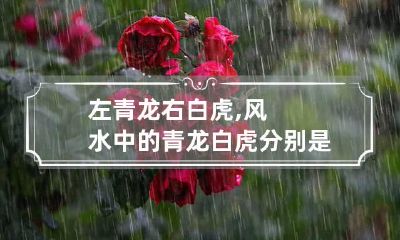 左青龙右白虎,风水中的青龙白虎分别是什么意思