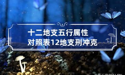 十二地支五行属性对照表 12地支刑冲克害表