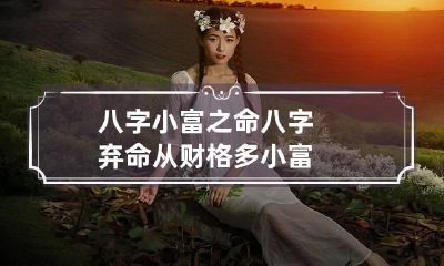 八字小富之命 八字弃命从财格多小富