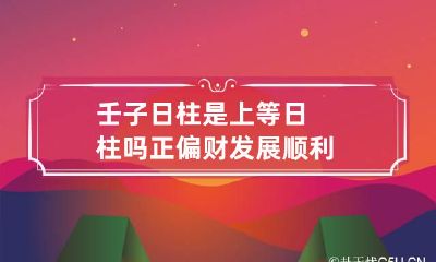 壬子日柱是上等日柱吗 正偏财发展顺利