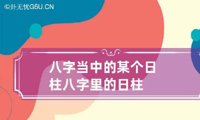 八字当中的某个日柱 八字里的日柱