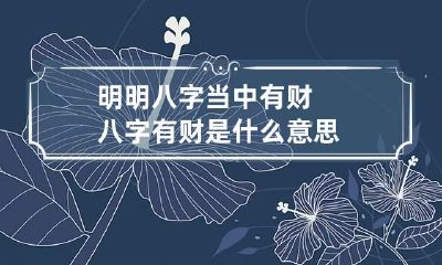 明明八字当中有财 八字有财是什么意思
