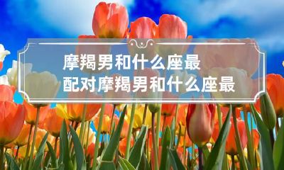 摩羯男和什么座最配对 摩羯男和什么座最配夫妻