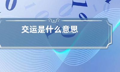 交运是什么意思