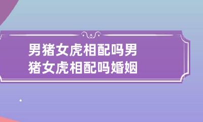 男猪女虎相配吗 男猪女虎相配吗婚姻