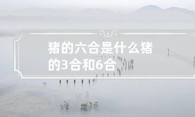 猪的六合是什么 猪的3合和6合