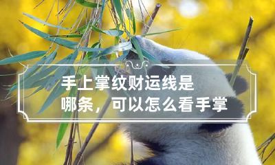 手上掌纹财运线是哪条，可以怎么看 手掌纹路财运线