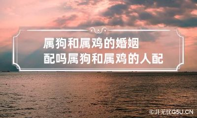 属狗和属鸡的婚姻配吗 属狗和属鸡的人配吗