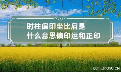 时柱偏印坐比肩是什么意思 偏印运和正印运有何区别