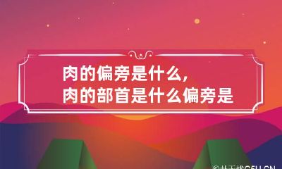 肉的偏旁是什么,肉的部首是什么偏旁是什么