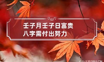 壬子月壬子日富贵八字 需付出努力