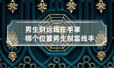 男生财运线在手掌哪个位置 男生财富线手相图解