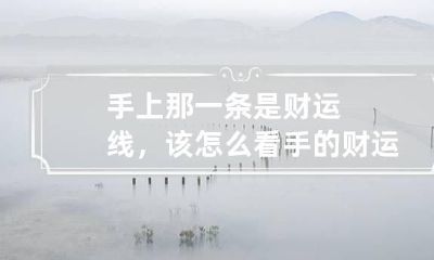 手上那一条是财运线，该怎么看 手的财运线在哪