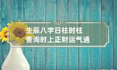生辰八字日柱时柱查询 时上正财运气通