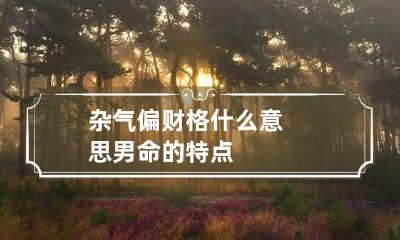 杂气偏财格什么意思 男命的特点