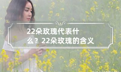 22朵玫瑰代表什么？ 22朵玫瑰的含义
