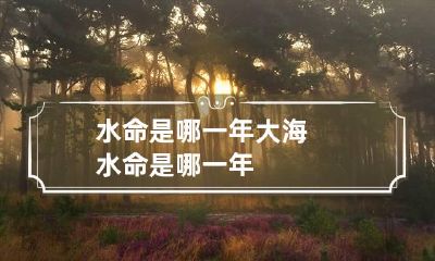 水命是哪一年 大海水命是哪一年