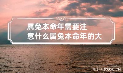 属兔本命年需要注意什么 属兔本命年的大忌